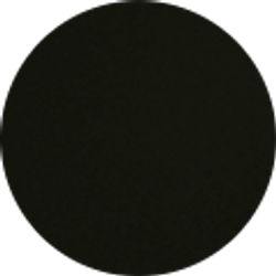 Profile photo of Elida Castaneda