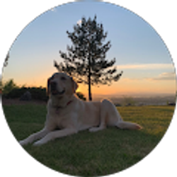 Profile photo of Melany Reyes