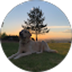 Profile photo of Melany Reyes