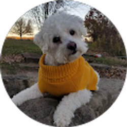 Profile photo of Erin Lance