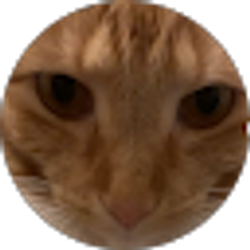 Profile photo of Kadence Neilson