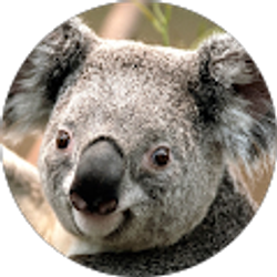 Profile photo of 29121225 c