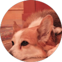 Profile photo of lita remsen