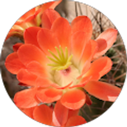 Profile photo of Amy Lou