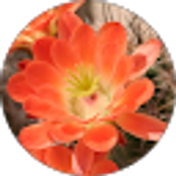 Profile photo of Amy Lou