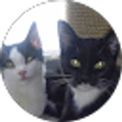 Profile photo of Nancy