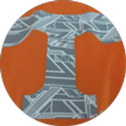 Profile photo of Tracie Lomax