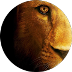 Profile photo of D_branch23