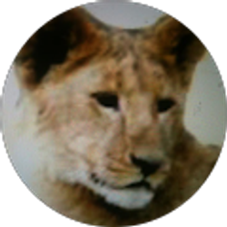 Profile photo of Rica Unit