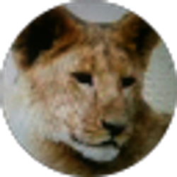 Profile photo of Rica Unit