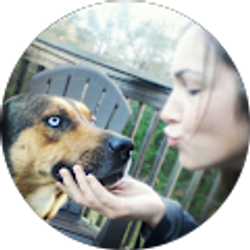 Profile photo of Bambie Hiott