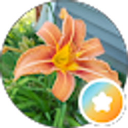 Profile photo of Crystal Card (CVN)