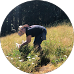 Profile photo of Darian Dorman