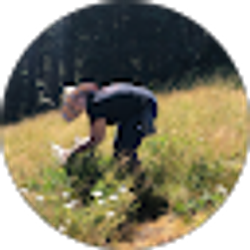 Profile photo of Darian Dorman