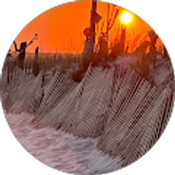 Profile photo of SurgeryPA