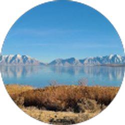 Profile photo of Dennis Wheeler