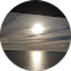 Profile photo of richard shirley