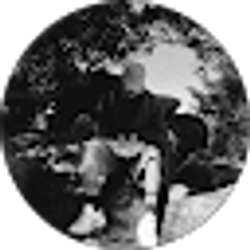 Profile photo of xzavier Martinez