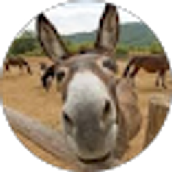 Profile photo of Tyson Walker