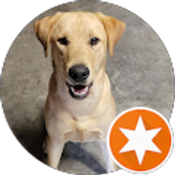 Profile photo of Joan Donnelly