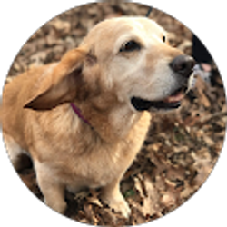 Profile photo of Faith F