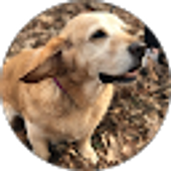 Profile photo of Faith F