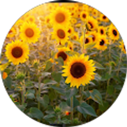 Profile photo of Ali Heath