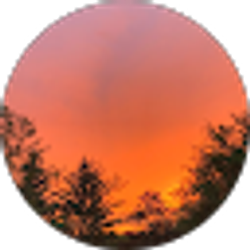 Profile photo of Kylie 88