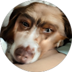 Profile photo of Gavin Walker