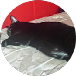 Profile photo of Brandon Hudson