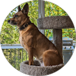 Profile photo of Landra Cooke