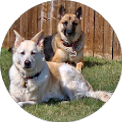 Profile photo of Lesley Mayse