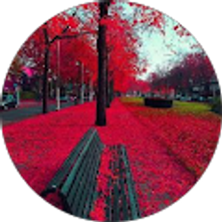 Profile photo of Dimaris
