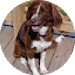 Profile photo of Robert Bukowski