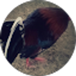 Profile photo of Samuel Lopez