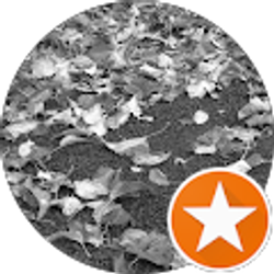 Profile photo of kyana