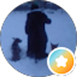 Profile photo of Nicole Vacca
