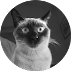 Profile photo of ED GA