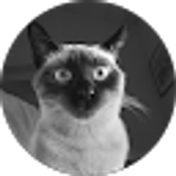 Profile photo of ED GA