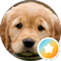 Profile photo of rickie sanders