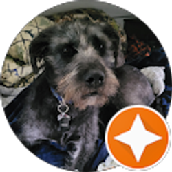 Profile photo of Karen B