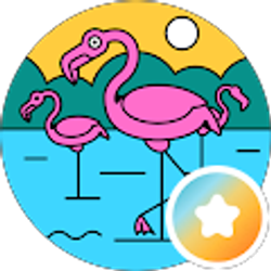 Profile photo of Nikki Clements