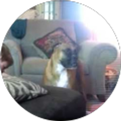 Profile photo of Blockshaker246