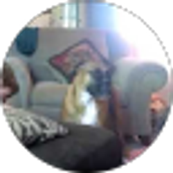 Profile photo of Blockshaker246