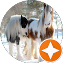 Profile photo of Foxy wolfie RW