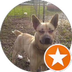 Profile photo of Robie Bench