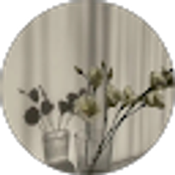Profile photo of -Kae -