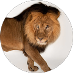 Profile photo of Aar Ibraahin