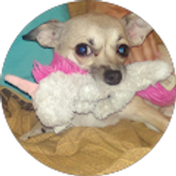 Profile photo of Diane Lipsey