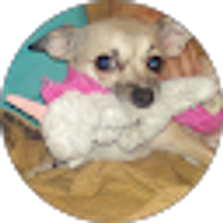 Profile photo of Diane Lipsey